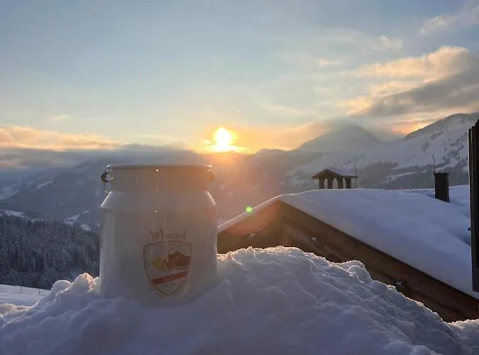 Maierl-alm & Maierl-chalets Appart hôtel