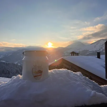 Maierl-alm & Maierl-chalets Appart hôtel